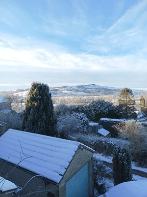 Snowy Scene